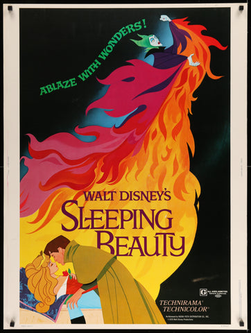 Sleeping Beauty (R1979 30" x 40")