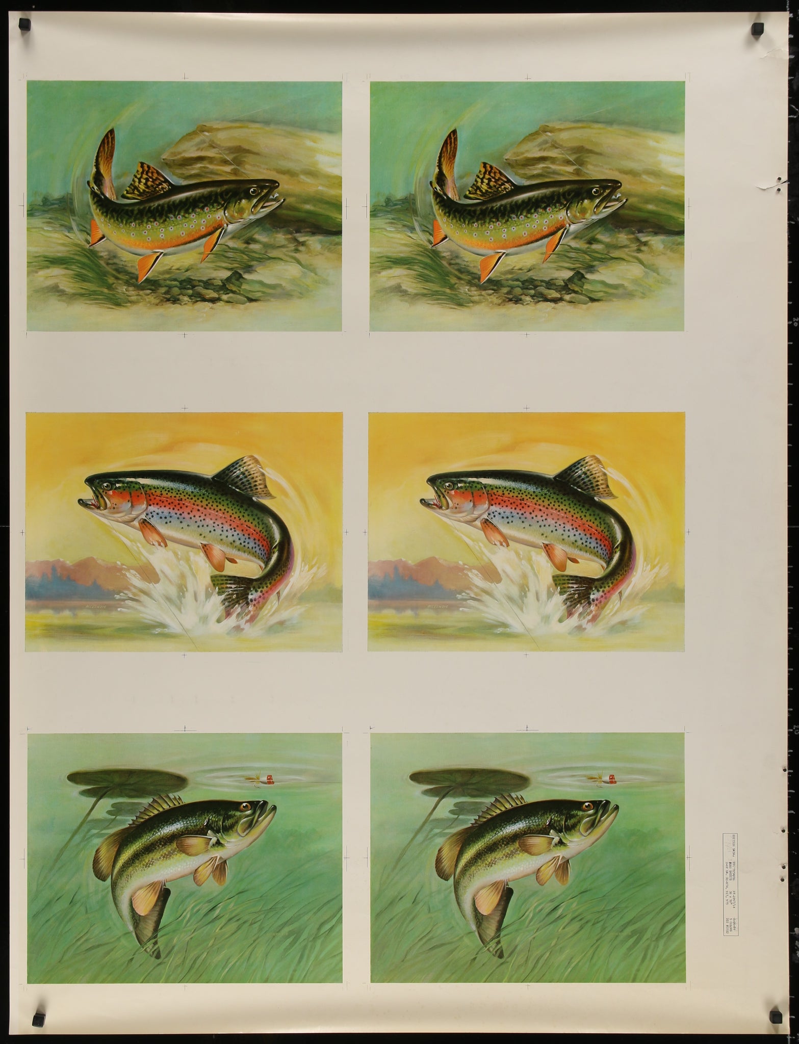 Trout, Printer's Test Poster (1957)